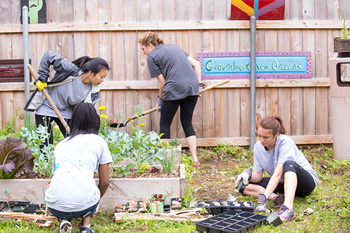 r2 group of four woman gardening